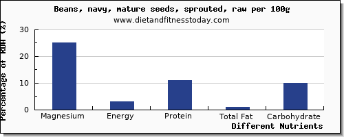chart to show highest magnesium in navy beans per 100g